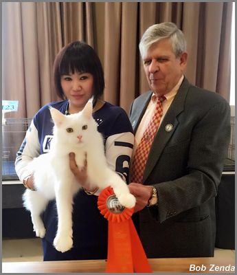 Qing Tang Benjamin
